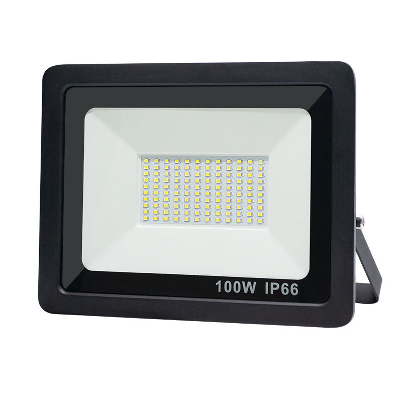 IP66 Waterproof LED Flood Lights 100W for Garden Yard Park Courtyard